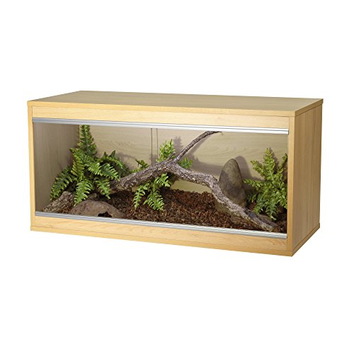 Bartagame Terrarium günstig kaufen